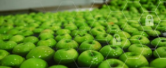 Web Application and IT Infrastructure Penetration Testing for a US Food Producer