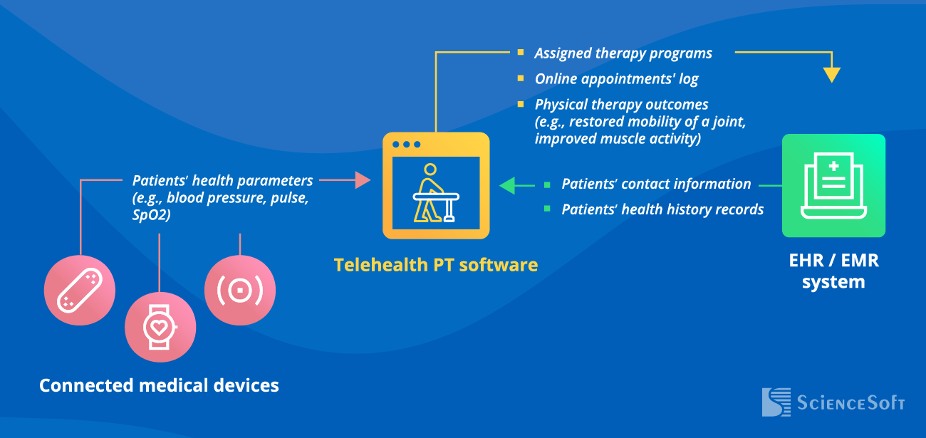 Custom Telehealth Software for Physical Therapy: Full Overview