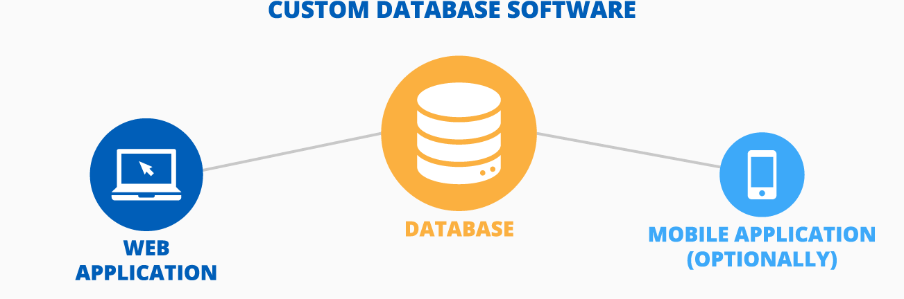 Custom database software - ScienceSoft